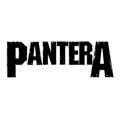 Pantera rock baby tøj